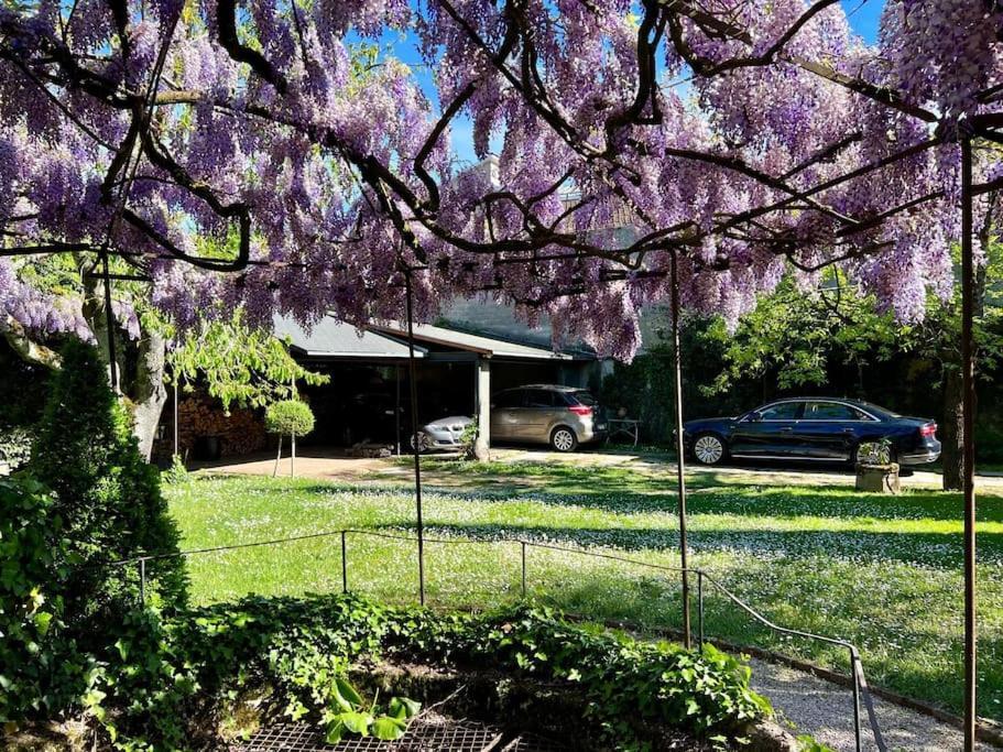 Logement De Charme Piscine Dans Propriete A 2 Pas Du Centre-Ville De Cahors Exterior photo