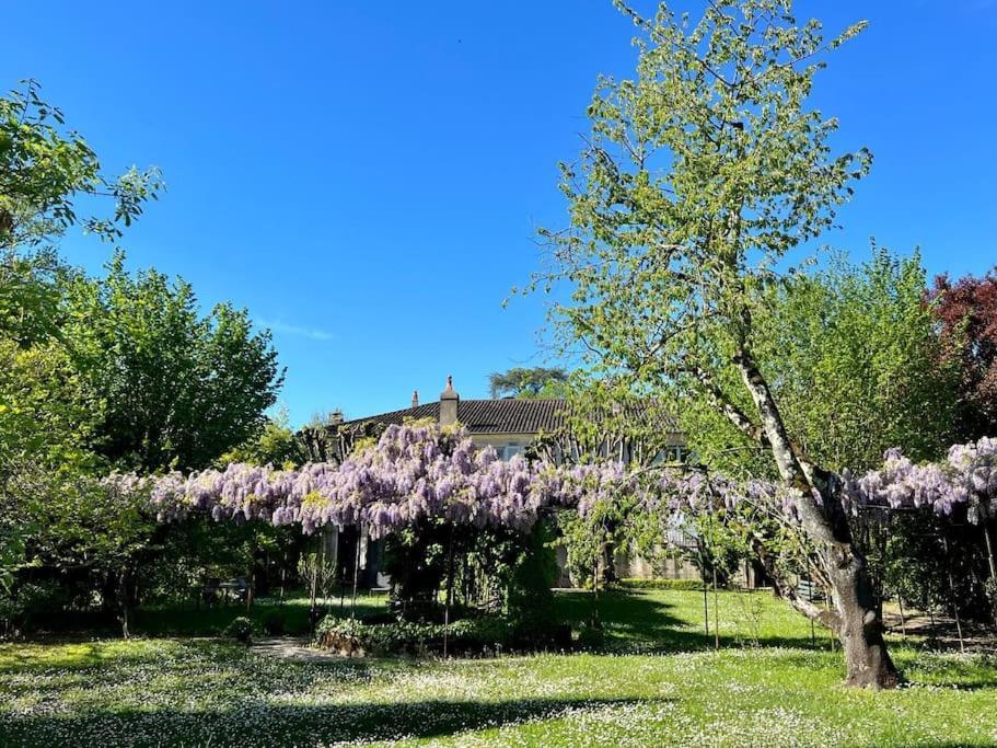 Logement De Charme Piscine Dans Propriete A 2 Pas Du Centre-Ville De Cahors Exterior photo