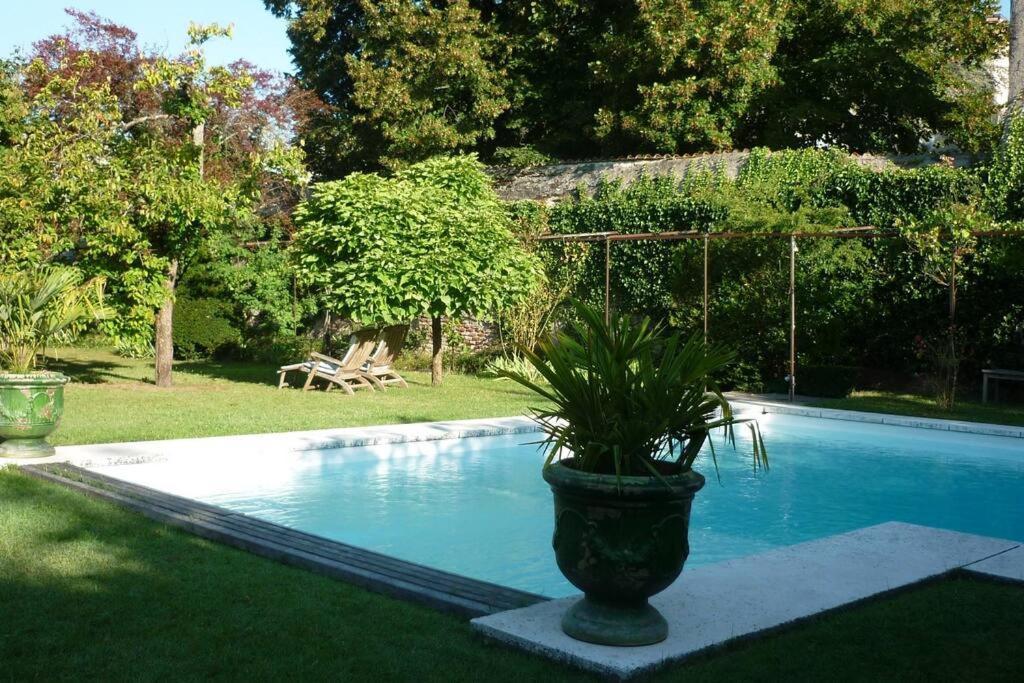 Logement De Charme Piscine Dans Propriete A 2 Pas Du Centre-Ville De Cahors Exterior photo