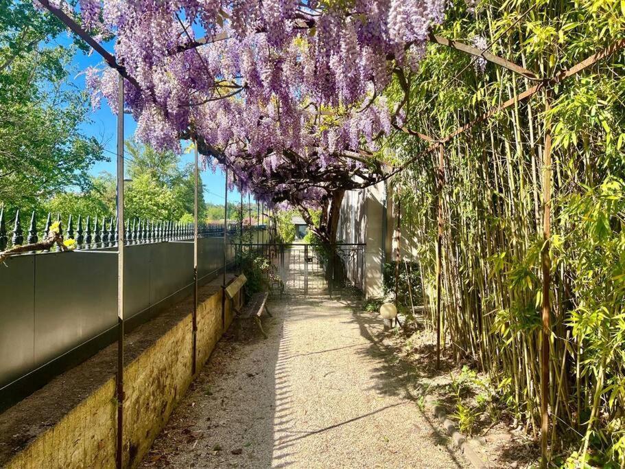 Logement De Charme Piscine Dans Propriete A 2 Pas Du Centre-Ville De Cahors Exterior photo